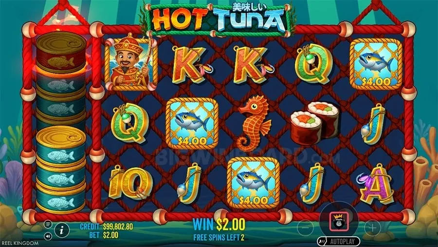 Wide Variety of Online Casino Games